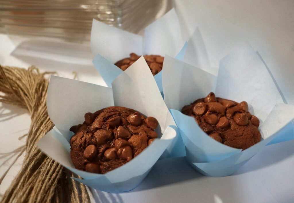 Double Chocolate Chip